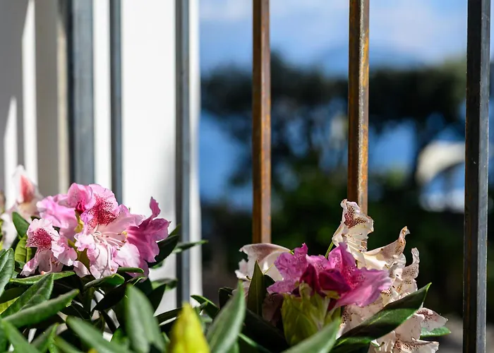 Il Quadrifoglio - Sea View Terrace *