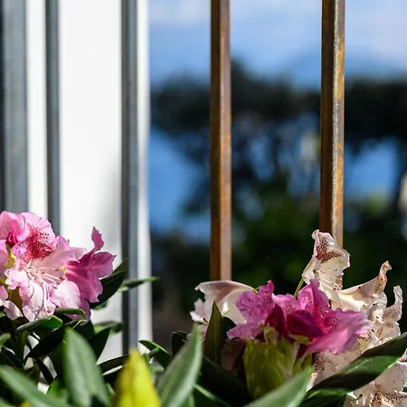 Il Quadrifoglio - Sea View Terrace *